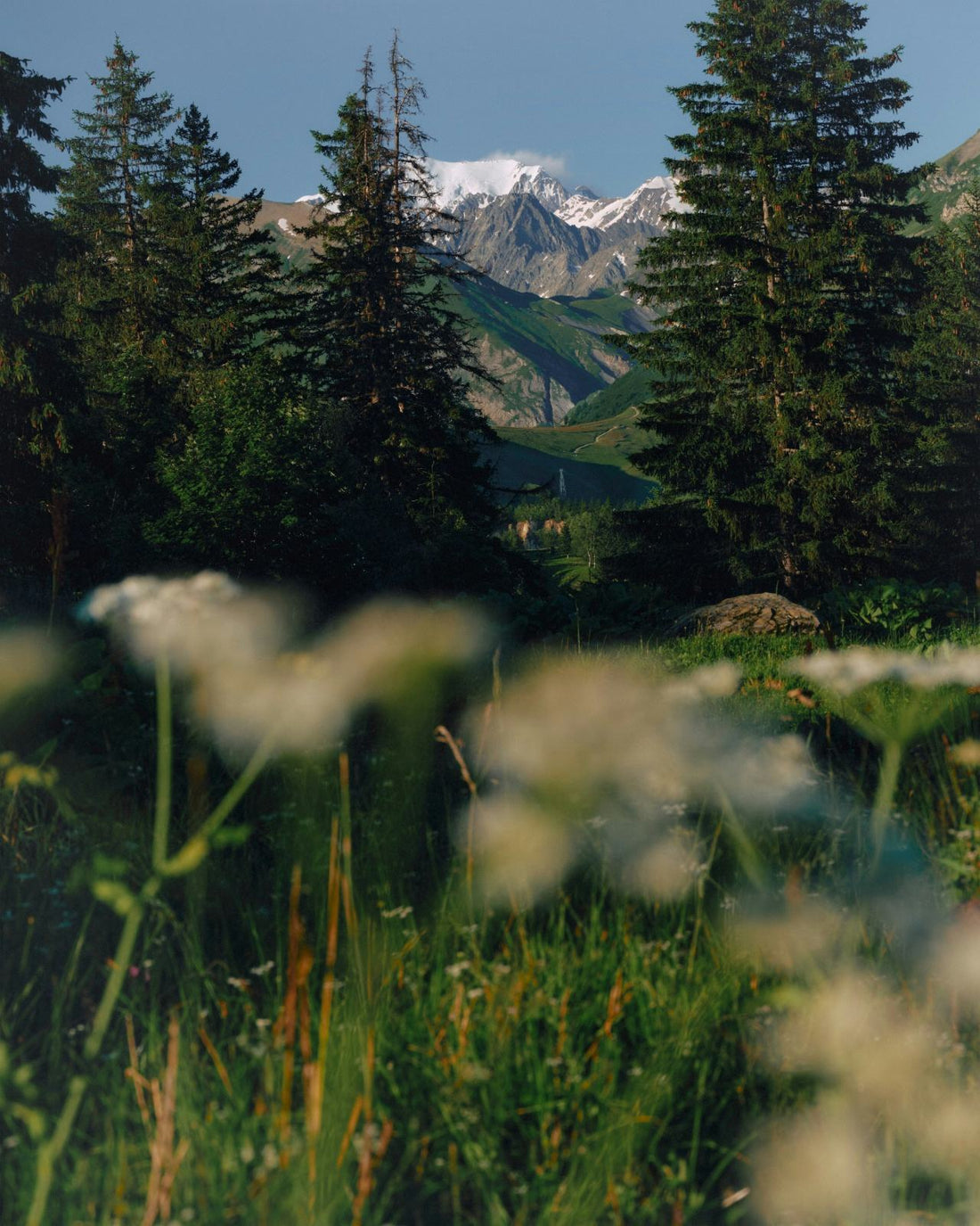 The Science-Backed Benefits of Getting Outside (and Walking with Weight)
