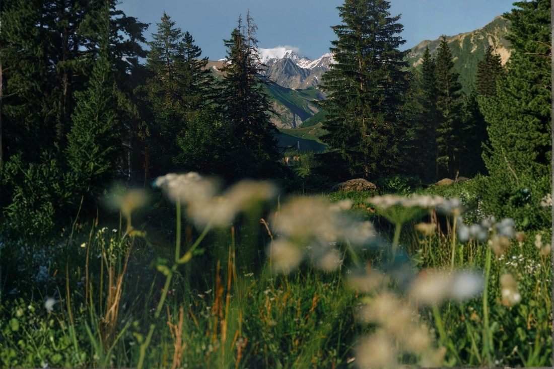 The Science-Backed Benefits of Getting Outside (and Walking with Weight)