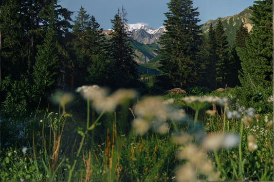 The Science-Backed Benefits of Getting Outside (and Walking with Weight)