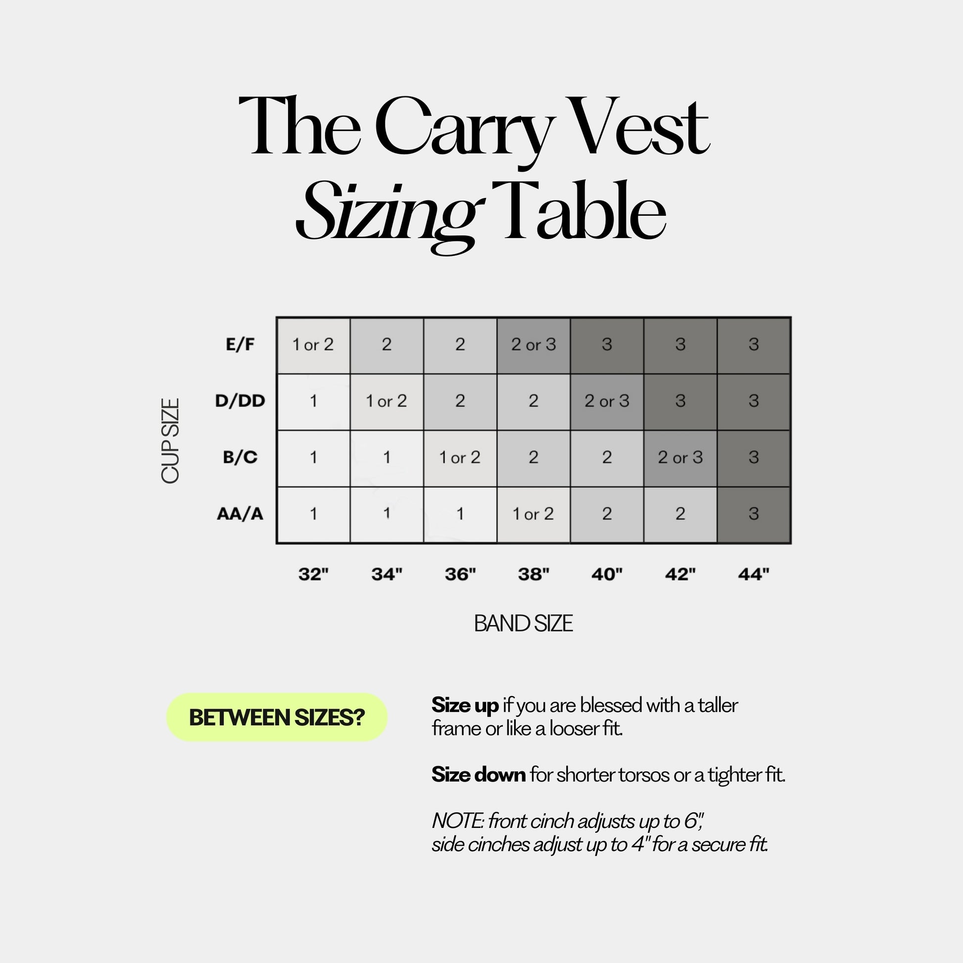 The Carry Vest Beta Bundle